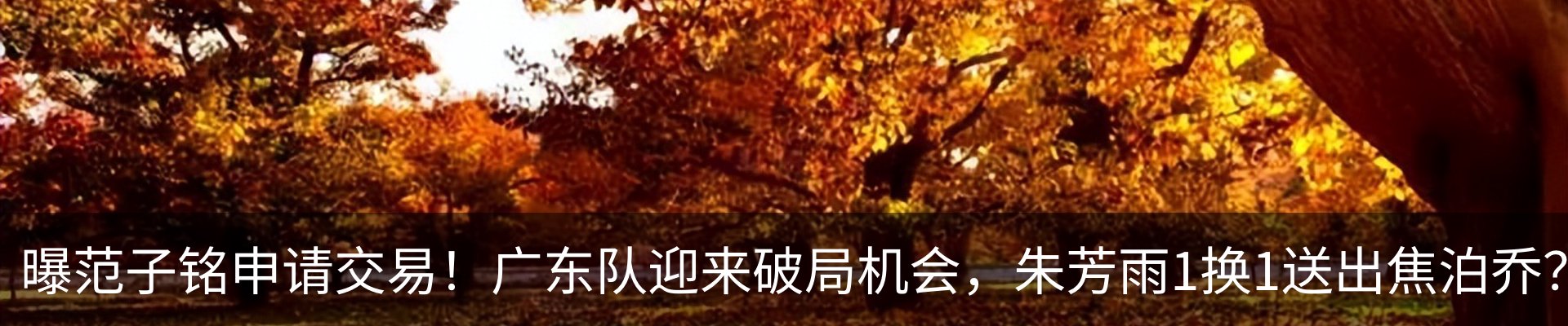 新闻动态