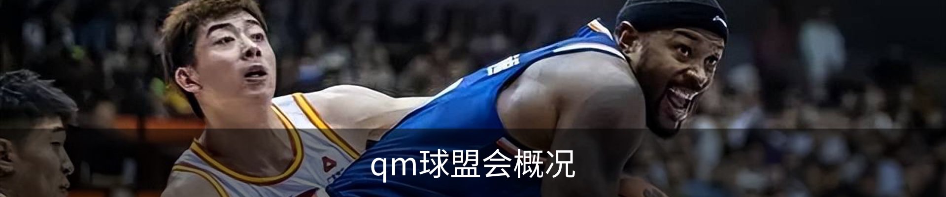 qm球盟会概况